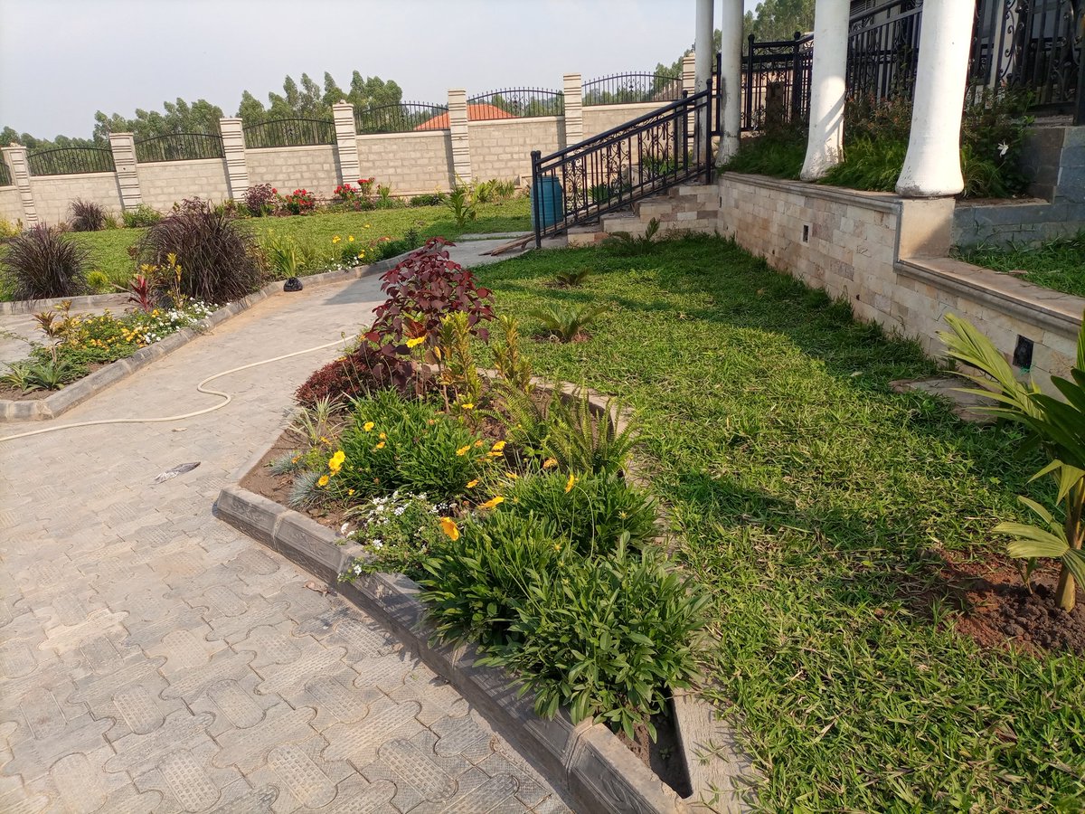 You could wake up to this beautiful sight of your own compound. This refreshing view will give you space for peaceful thoughts and plans. For beautiful landscapes like these, contact us.

Let's Inspire Freshness
Uganda
0778623536
landscapeuganda.com

#homes #realestate