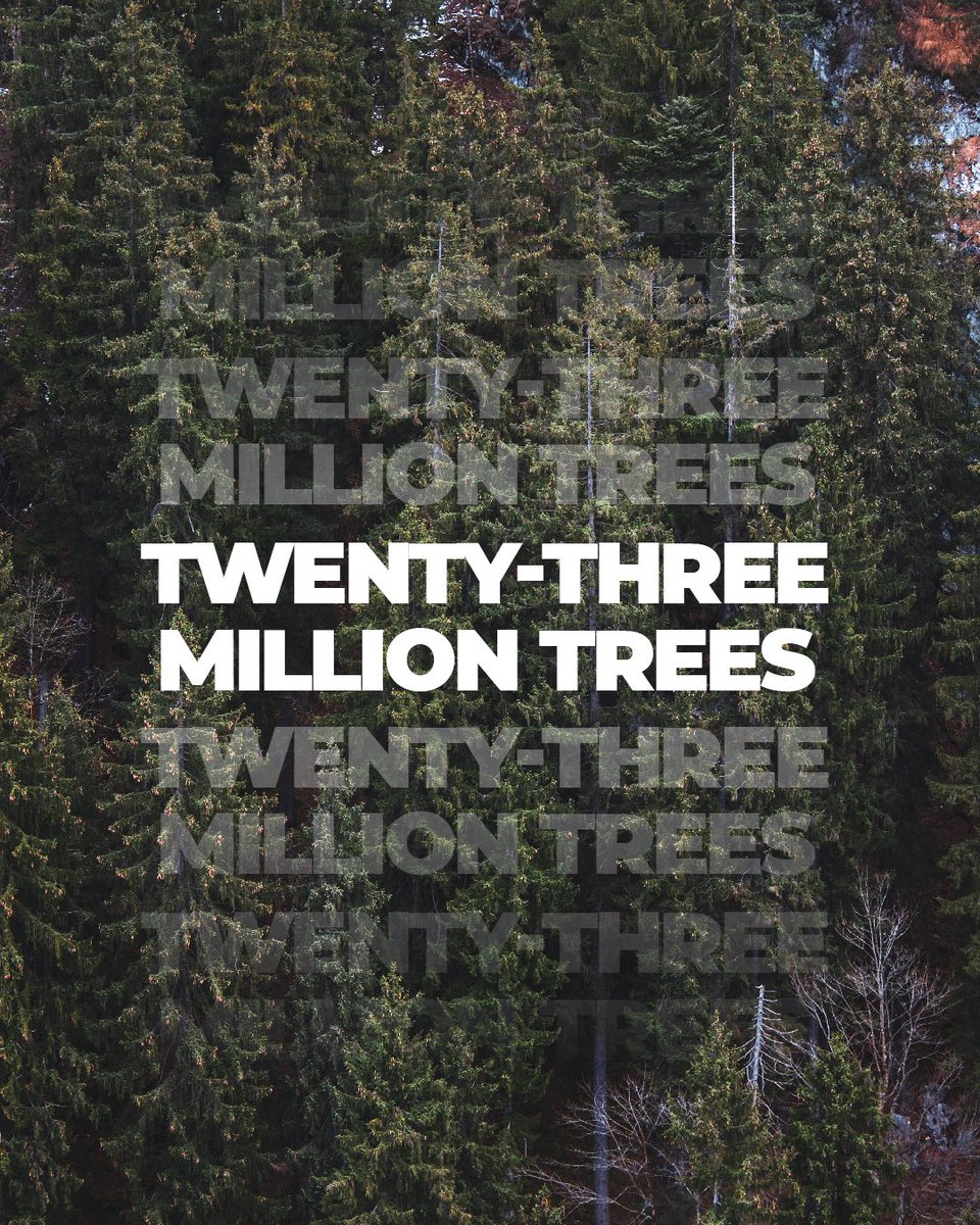 TeamTreesOfficial tweet media