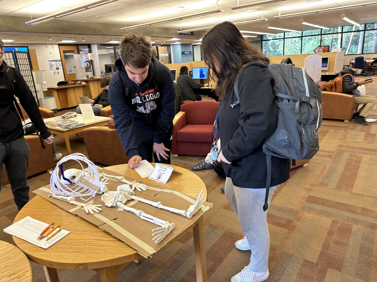 OLSatBC's tweet photo. 1/2: Halloween must be just around the corner because the skeletons are on parade!💀

Bellevue College students made some creepy accurate skeletons, on display in the front windows area on the first floor of the Bellevue College Library. https://t.co/V7naGIvERQ