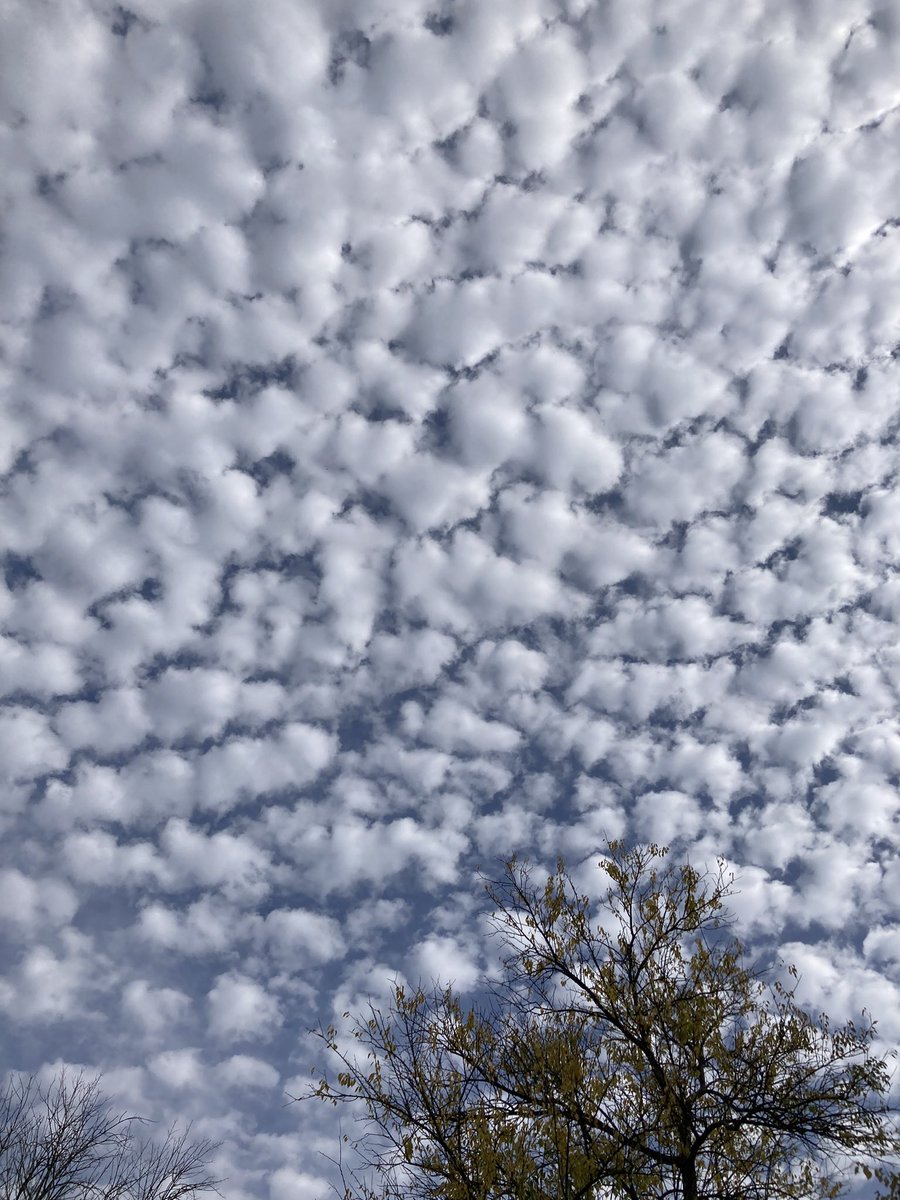 LissieWyatt's tweet image. Yes Stuart, thanks for all your support and help for our #Democracy #StrongerTogetherForDemocracy #BlueCrew #BlueWave2024 #AmericansAgainstFascistNeoNazis #ConnectBlue #GunReformNow #BLM #ProtectOurVotingRights #RemoveCongressFASCISTINSURRECTIONIST #EndGunViolence