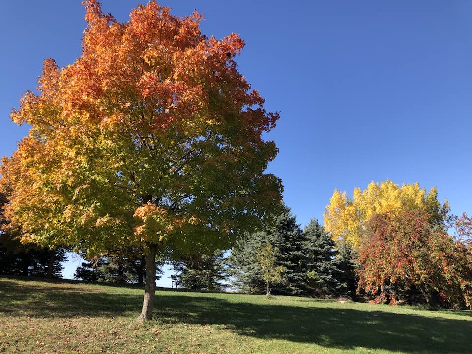 StBenCenter's tweet image. 