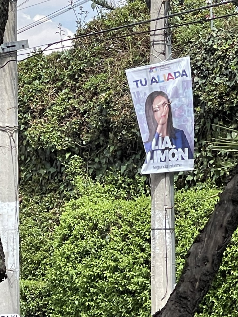 taan_cas's tweet photo. Aliada de hacer más basura😩 @lialimon https://t.co/IRPKfz2asj