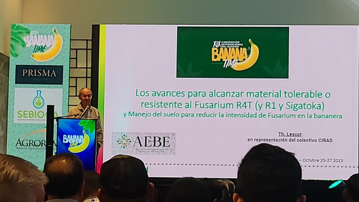 SebiocaE's tweet image. SEBIOCA formando parte del #BananaTime2023 en la XX Convención Internacional del Banano. @aebeecuador  @majovacar