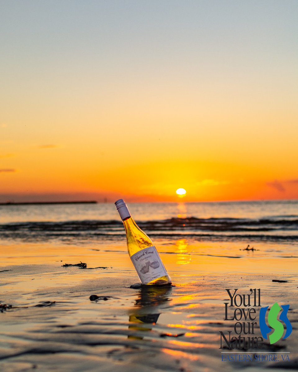 Wine and sunsets are our favorite pairing. Experience it for yourself on Virginia's Eastern Shore!
#visitesva #visitva #loveva #coastalvirginia #vawine
@visitvirginia