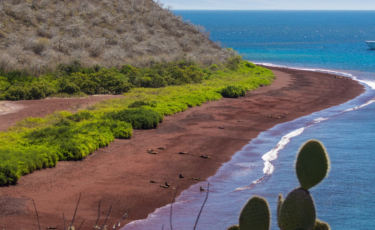 Galápagos Conservancy tweet media