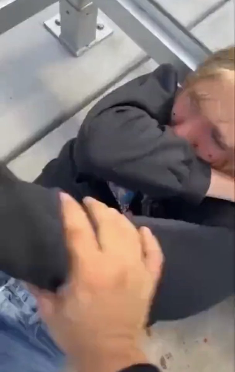 HWDedicationbball tweet media