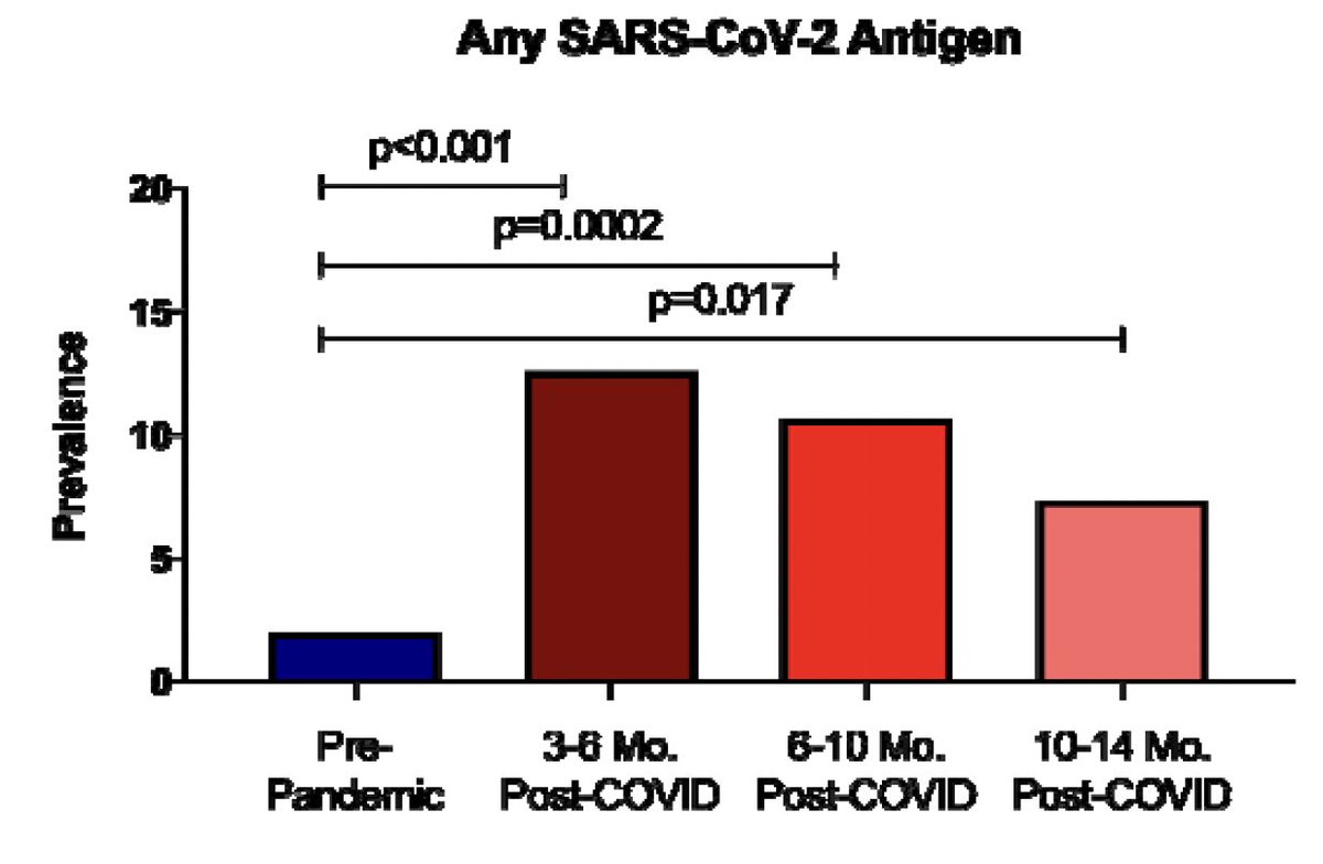 In people with #LongCovid, persistently elevated #SARSCoV2 antigen levels in the blood out to 1 year+ 
medrxiv.org/content/10.110… by <a href="/MichaelPelusoMD/">Michael Peluso, MD</a>  and colleagues <a href="/UCSF/">UC San Francisco</a> <a href="/wyssinstitute/">Wyss Institute</a>