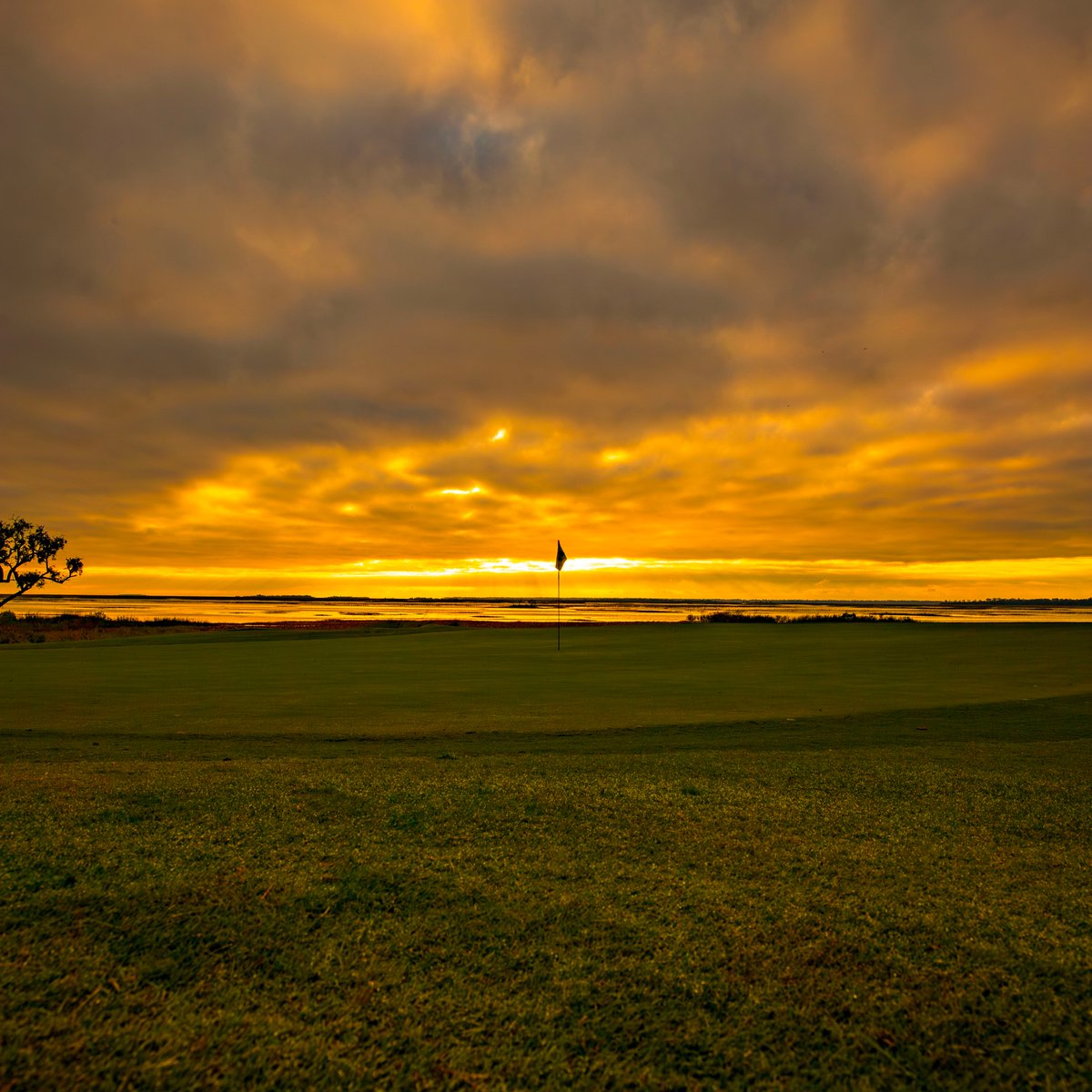 ⛳️Paradise on Earth⛳️

📍Palmetto 14