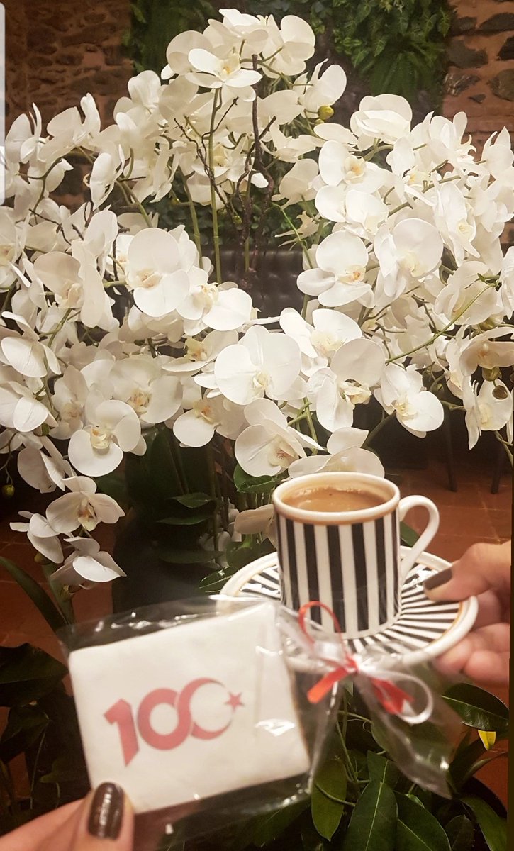 Havada Cumhuriyet kokusu var 🇹🇷 #CumhuriyetHaftası