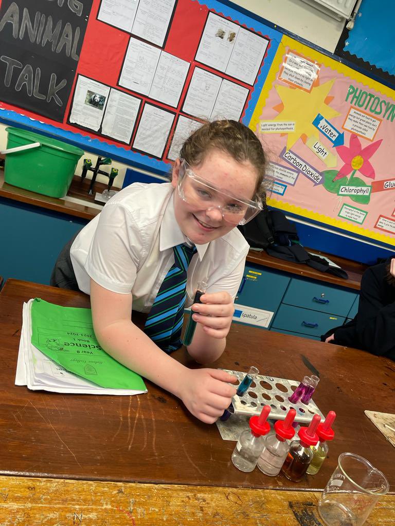 ScienceMalone's tweet image. Year 8 scientists make their own indicator from red cabbage @MaloneCollege