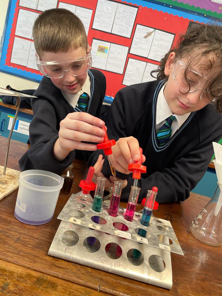 ScienceMalone's tweet image. Year 8 scientists make their own indicator from red cabbage @MaloneCollege