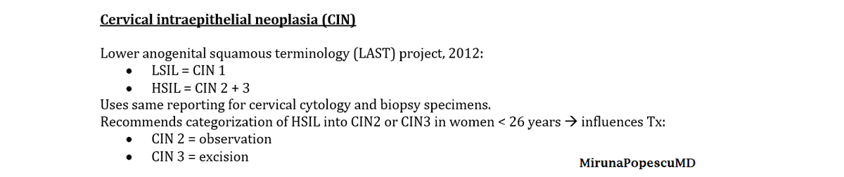 MirunaPopescu13's tweet photo. Started some structured learning & reviewing so today I'm sharing with you my notes on LSIL (CIN 1) from this great book on #gynpath.
A YT 📽️ might be coming up soon on SILs of the cervix also
Until then, hope you'll find this useful 👇🏽
#PathTwitter #pathbasics #pathresidents https://t.co/gZ2ZEkVorZ