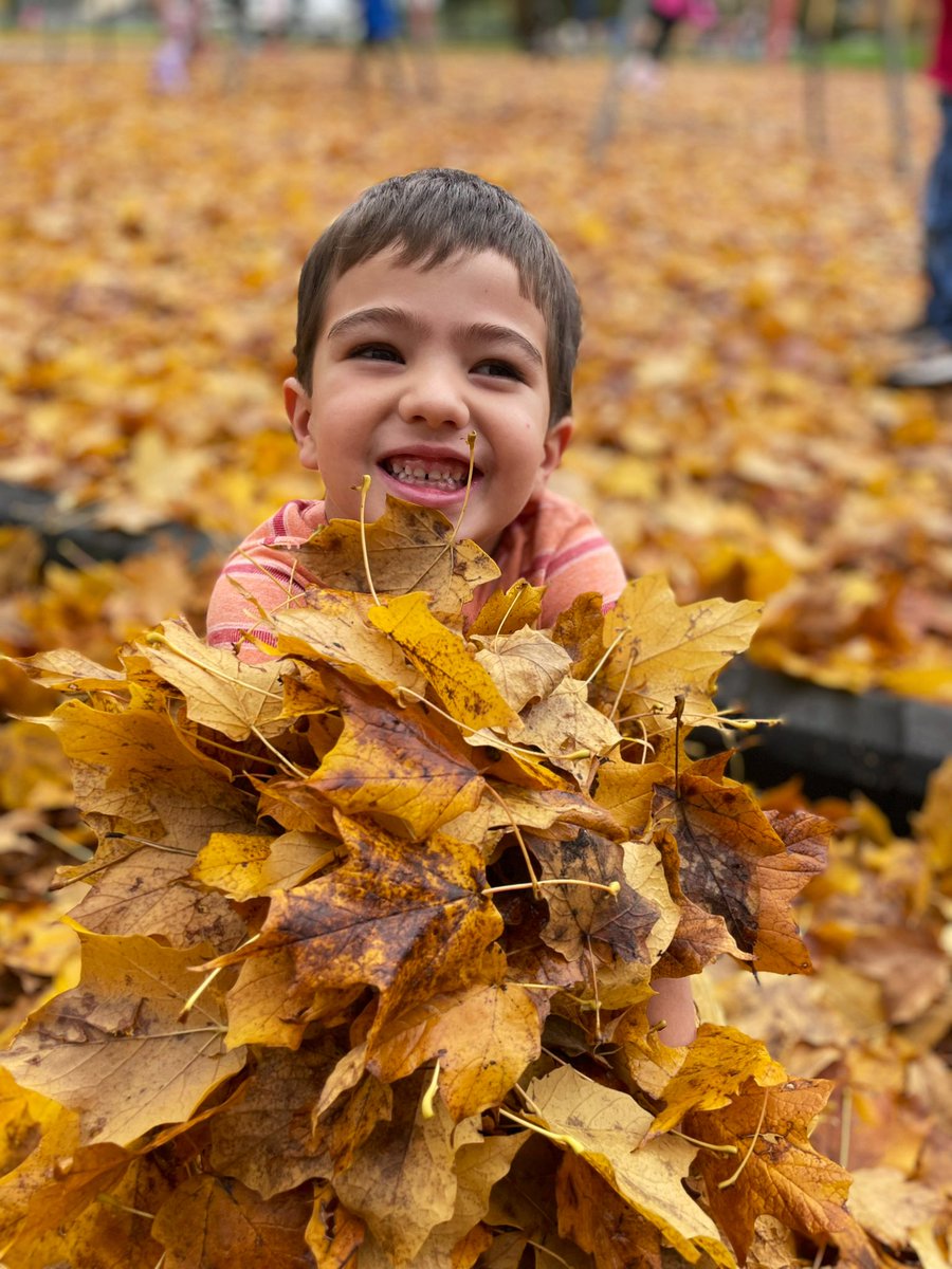 Madison Chesnutt tweet media