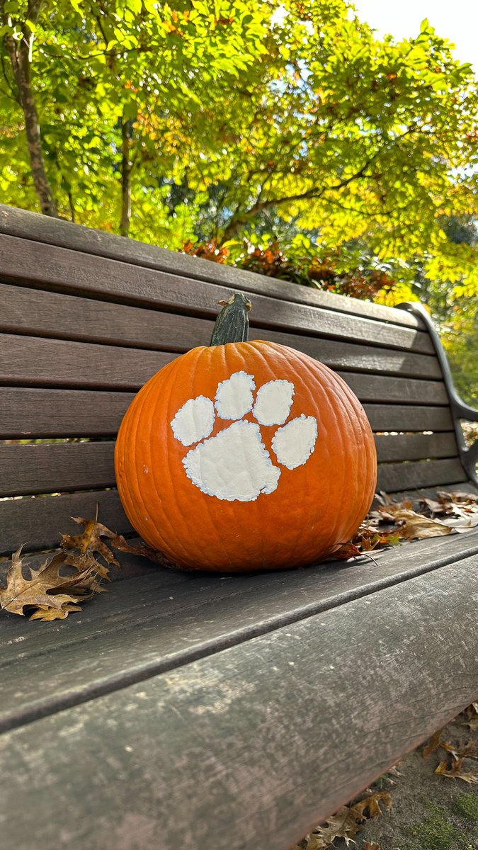 Happy #NationalPumpkinDay!