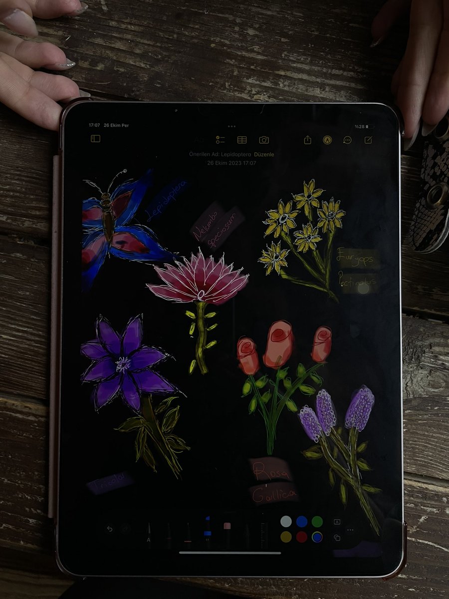 Fizyoloji dersinde ne mi yapıyorum