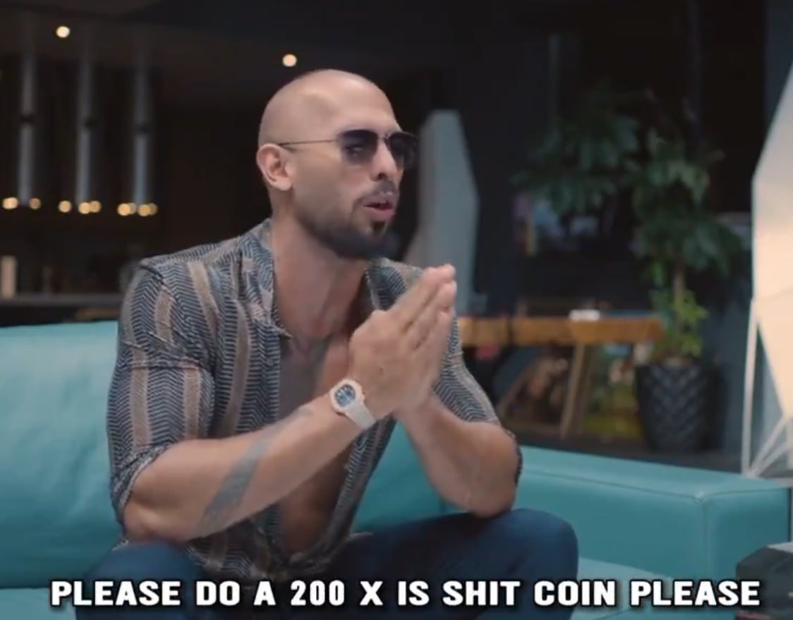 MEGA DORK tweet media