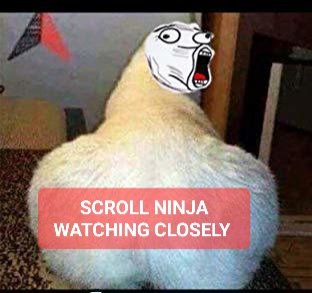 NigBetter60007's tweet image. @ScrollNinjaGame @_chisomokafor
@AdepegbaIdris
@Cryptoplight #scroll #scrollecosystem #ScrollNinjas
