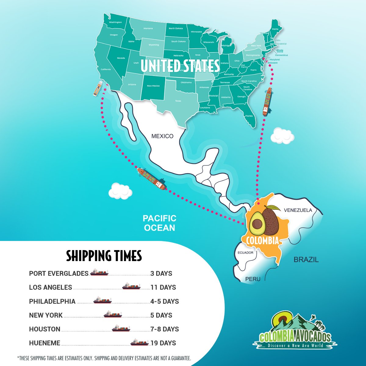 AvosColombia tweet media