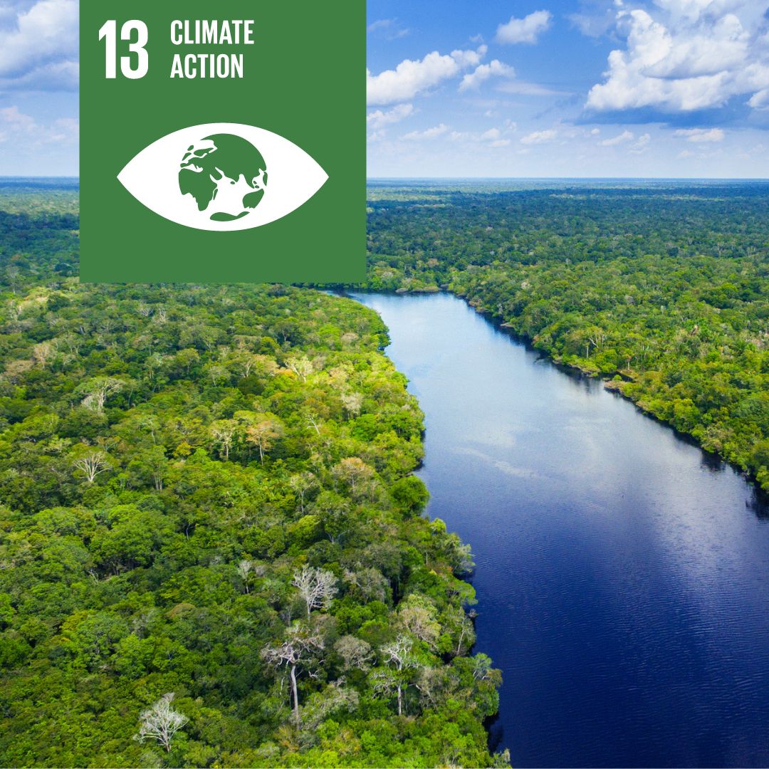 As part of our long-term initiative to help protect forests and aid companies in transitioning to a Forest Positive model, we began engaging with companies in the forest products and paper sectors.

To learn about the Domini Forest Project, visit domini.com/investing-for-…