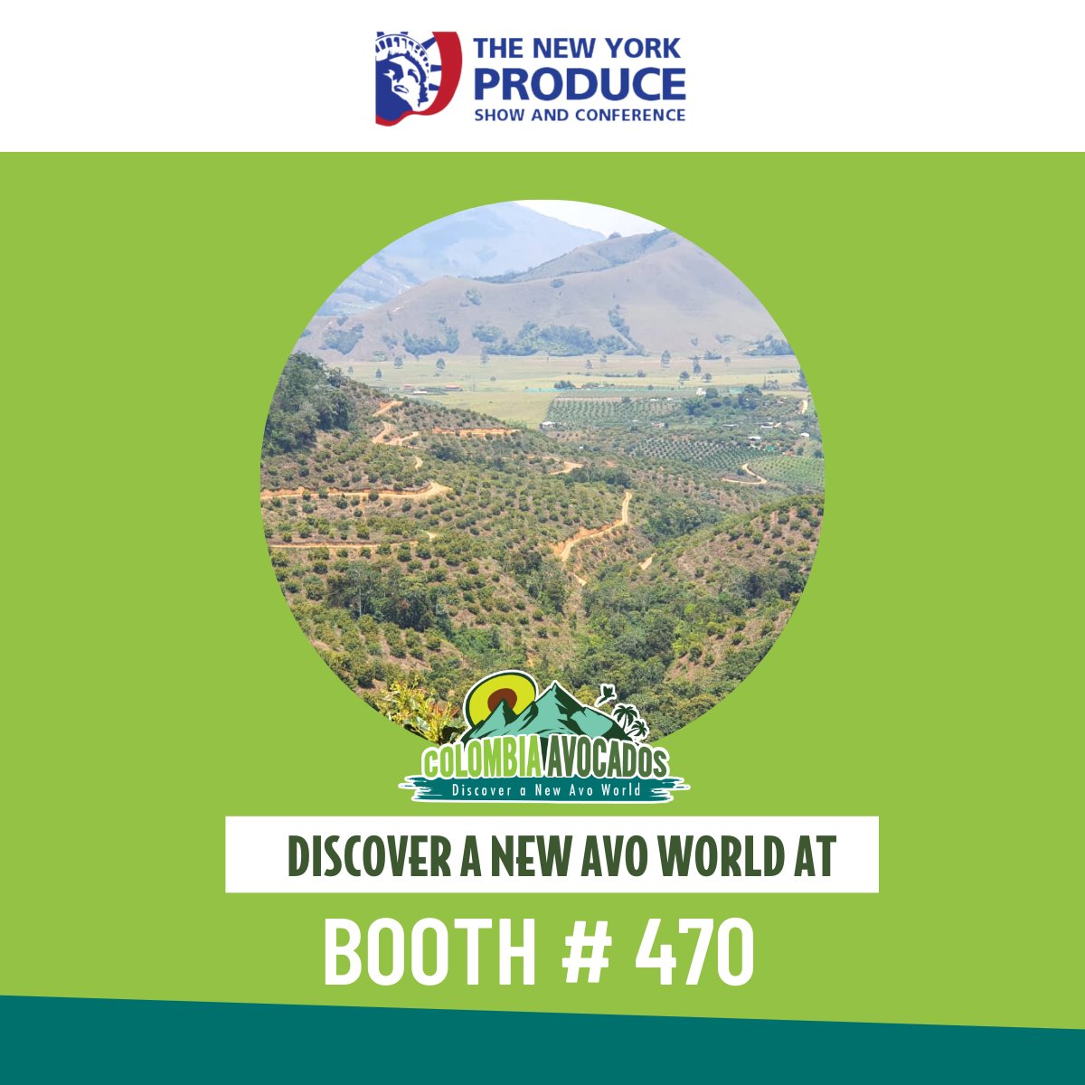 AvosColombia tweet media