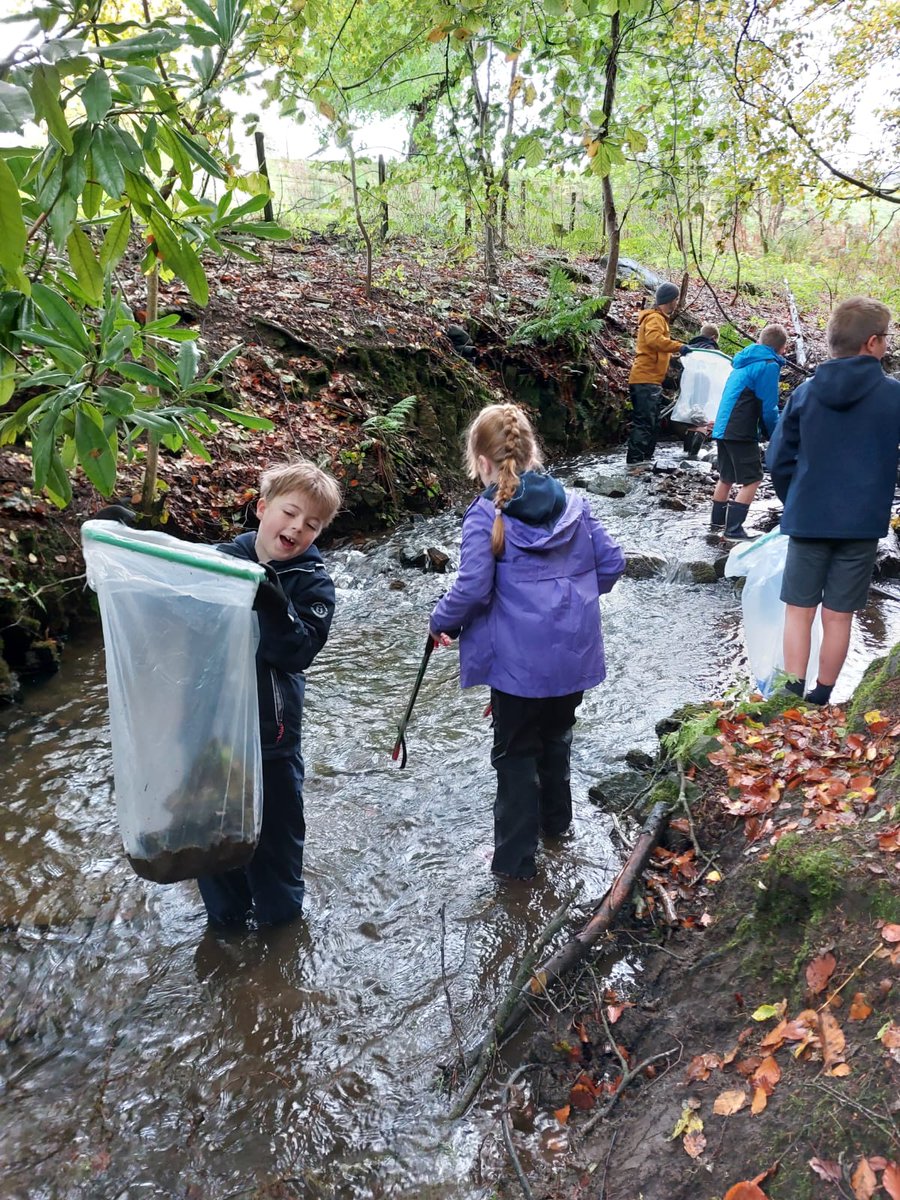 Torphichen Primary and ELC tweet media