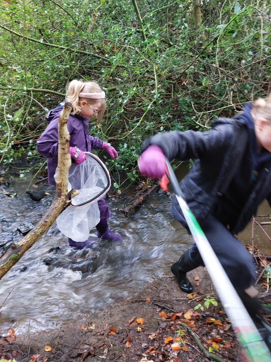 Torphichen Primary and ELC tweet media