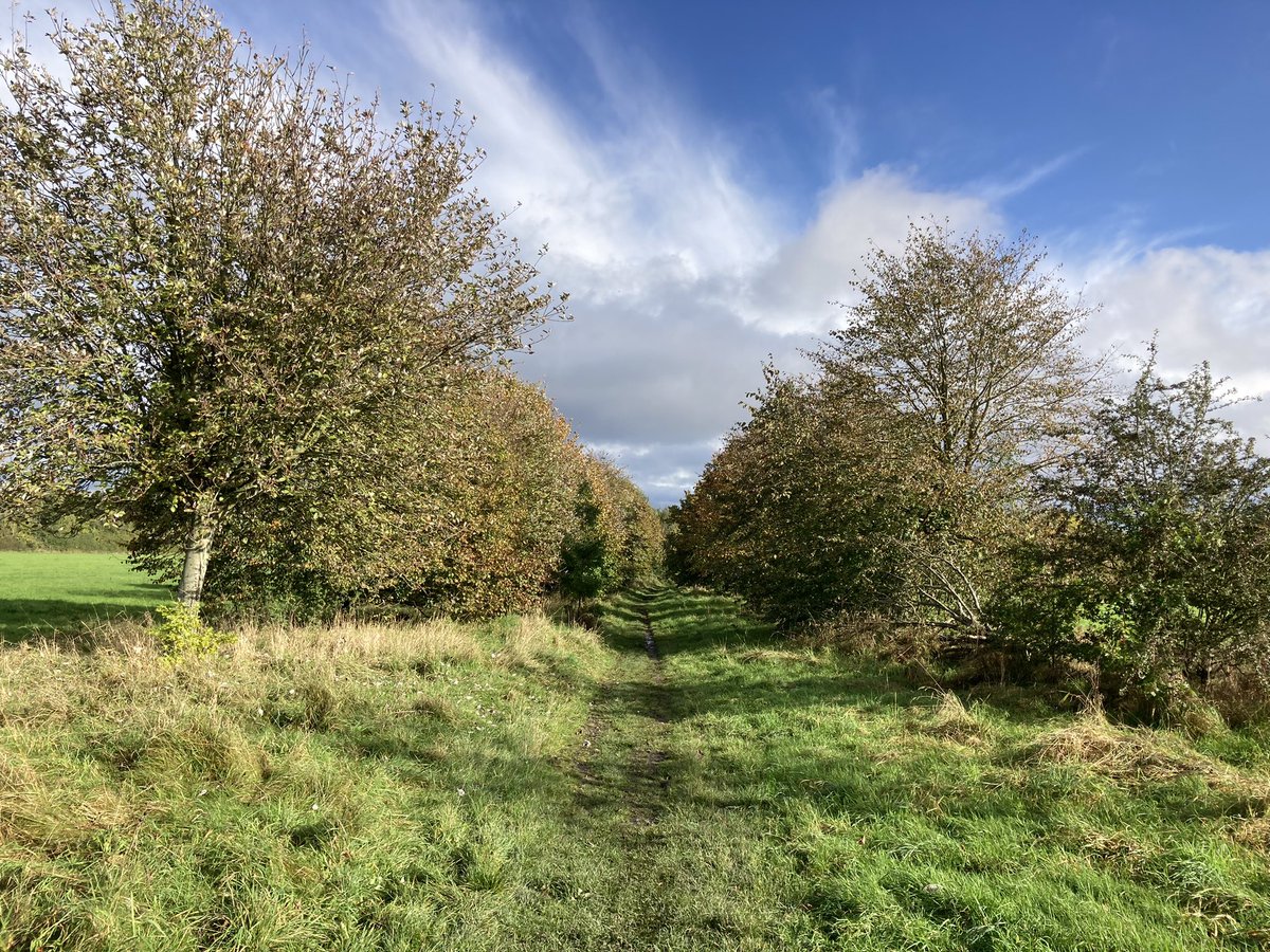 Imogen Rowe tweet media