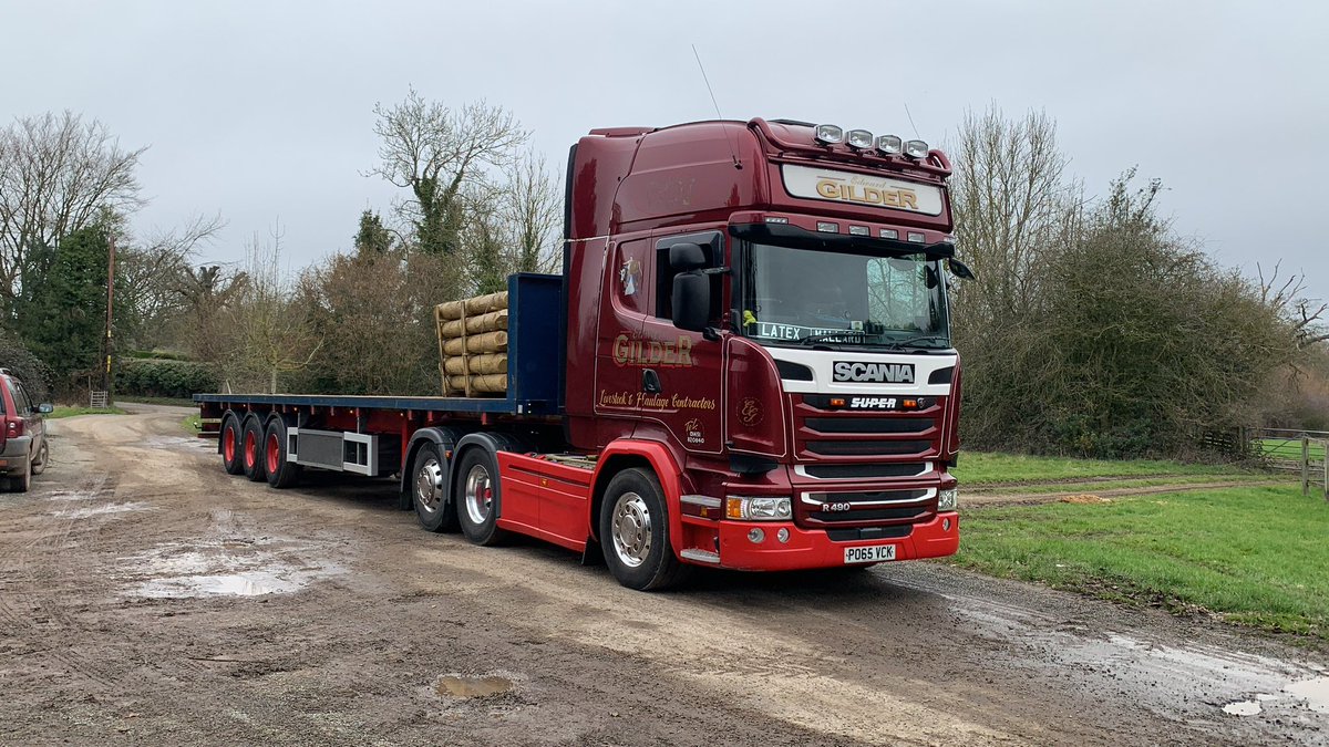 Latex Mallard (rubber duck ffs) tweet media