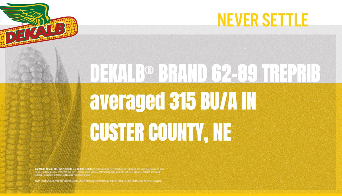 DKC62-89 TRERIB is showing up strong across West Central Nebraska. Performance and consistency from this 112-day Trecepta product! <a href="/bk_franzen/">Bryan Franzen</a> <a href="/cattleNcrops83/">Casey C.</a> <a href="/Asgrow_DEKALB/">DEKALB Asgrow Seed</a> <a href="/kblakem1/">Kyle Blakeman</a> #Bayer4NE #harvest23 #farming #agriculture