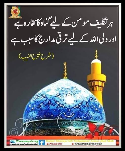 #ShaykAbdulQadirTheTruthful