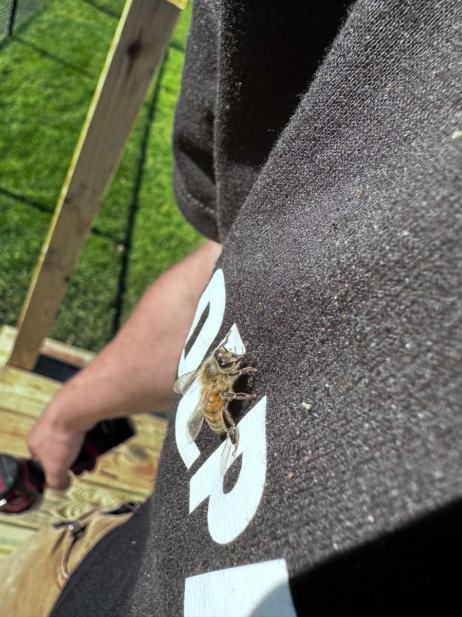 JustWisco's tweet photo. Seems my games are going to take 22 hours to update…

But OBS should be ready in maybe 1-2 hours …

Go live? Maybe…

Ps Honeybees 💛🖤💛 me, you should too! https://t.co/sPnRSfBgzW
