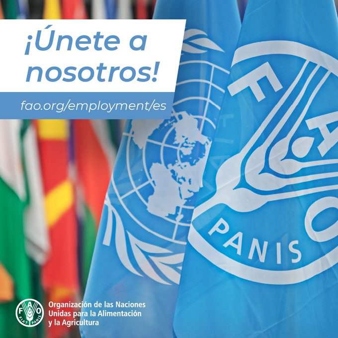 FAOEcuador's tweet photo. ¡Únete al equipo de @FAOEcuador! 

👉 Especialista técnico en Medios de Implementación
⏰ 1 de noviembre  

👉 Asistente de programa de seguridad alimentaria y cambio climático
⏰ 3 de noviembre  

📲 Aplica aquí https://t.co/2prf1YP4W1 https://t.co/OSsaDJzfg4