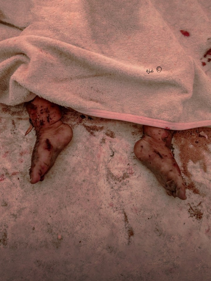 This should be plastered on all the walls of Western embassies across the world.