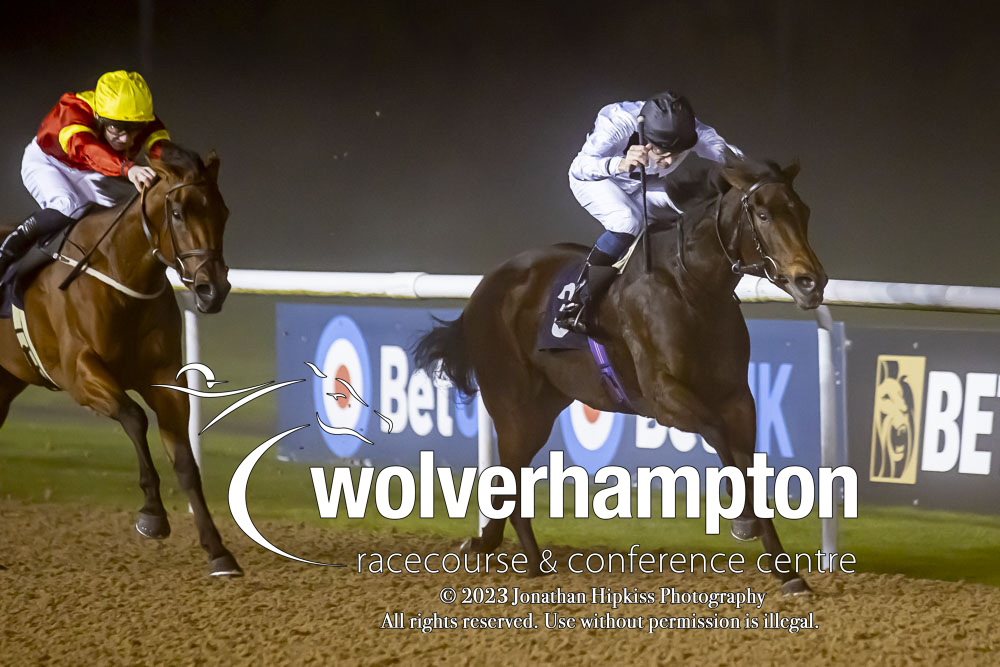 RACE 7 RESULT - Win 2,000,000 With @BetMGM's Golden Goals Fillies' Handicap

🥇 First Of May

Jockey: @CallumSheppy
Trainer: @james_fanshawe

📸 @WolvesRacesPics 

#WolvesRaces | #WOLHAL