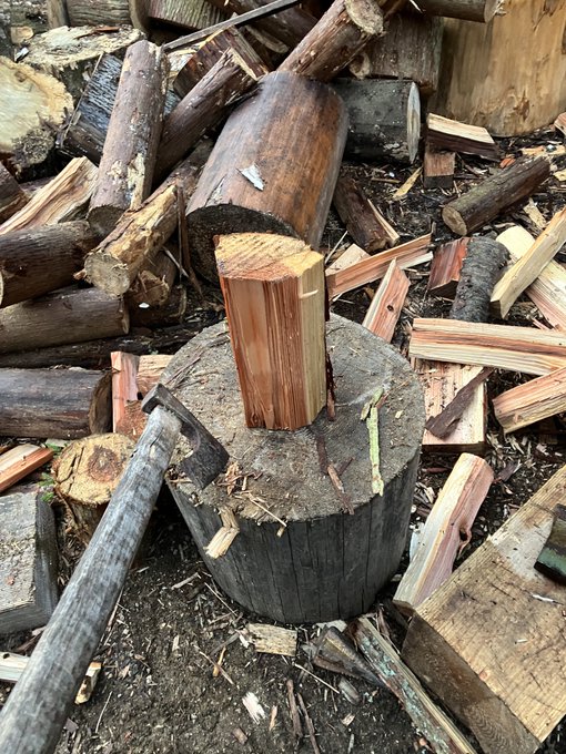 朝からアイカツしてる 