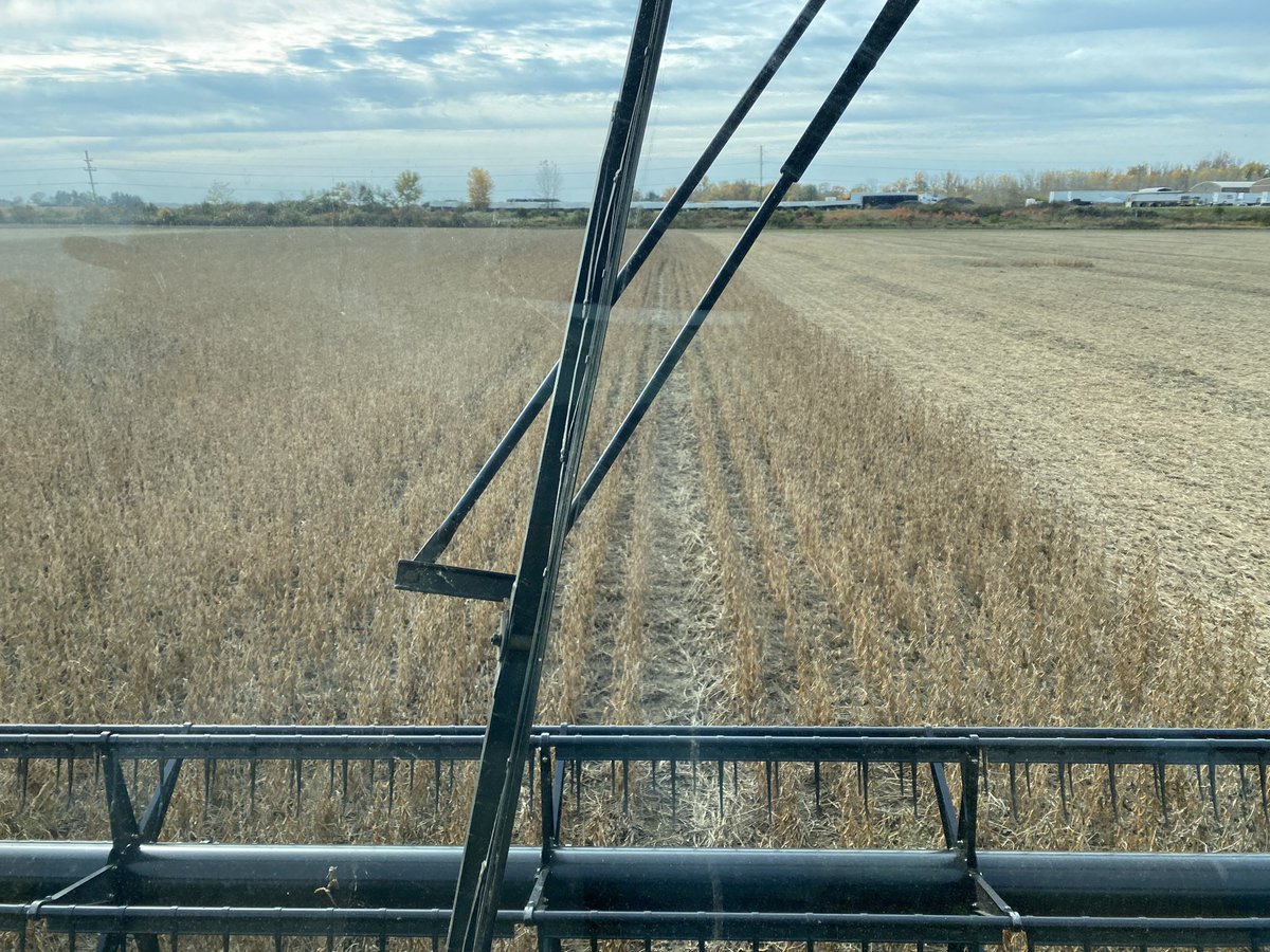 Michael39448691's tweet photo. Took my first ride in a combine today compliments of Josh, Gavin and Chet!  Their knowledge of farming is amazing!  @NationalFFA @lenaweenews 👑🚜👑 https://t.co/FL9lZ7J5IU