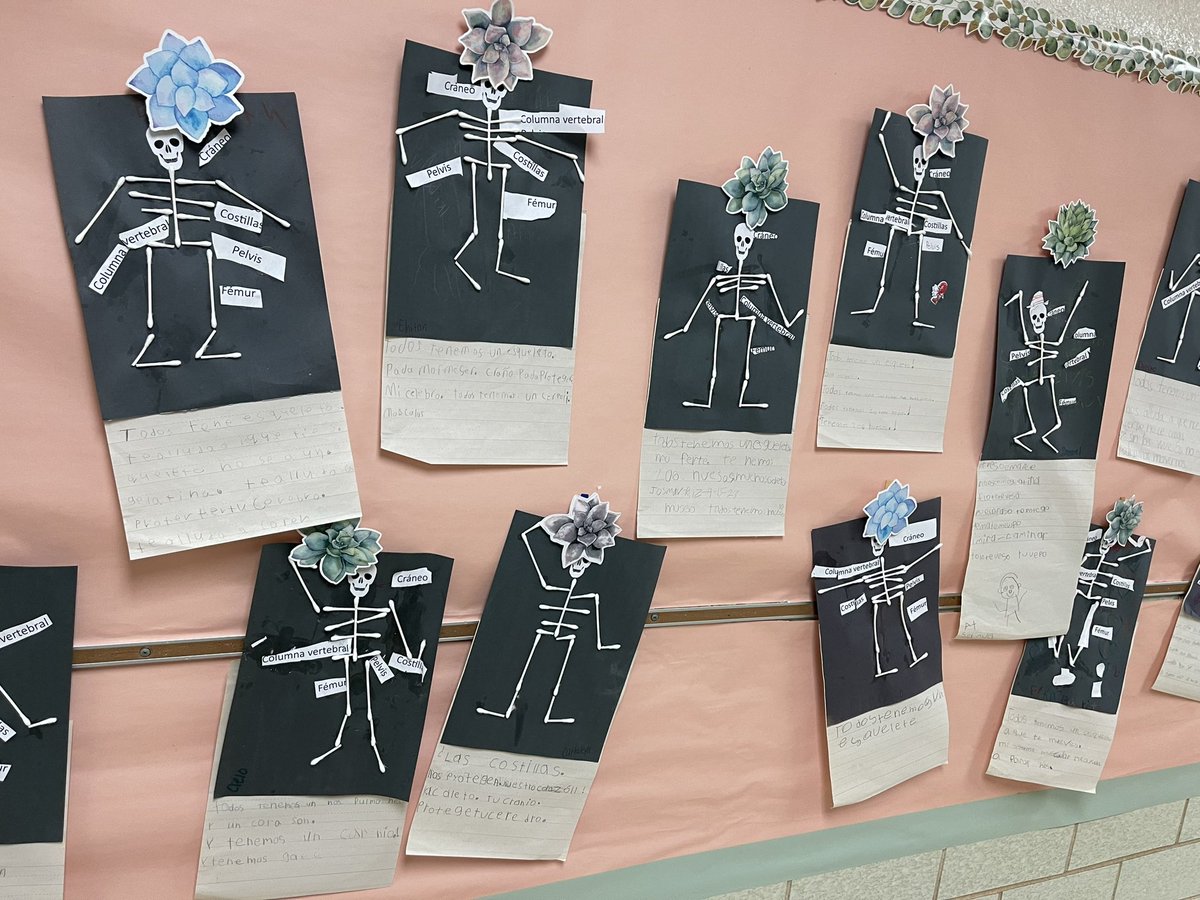 MarSilvaLearns's tweet photo. Another visit to @LuellaMerrett means seeing phenomenal student work from @Amplify! The 4th grade T I met with wanted to learn about supporting her newcomers, and look at the fab translanguaging on her S inventions! This #futurecorpse also loved the 1st grade skeletons &amp; writing. https://t.co/fjXOa5HKzw
