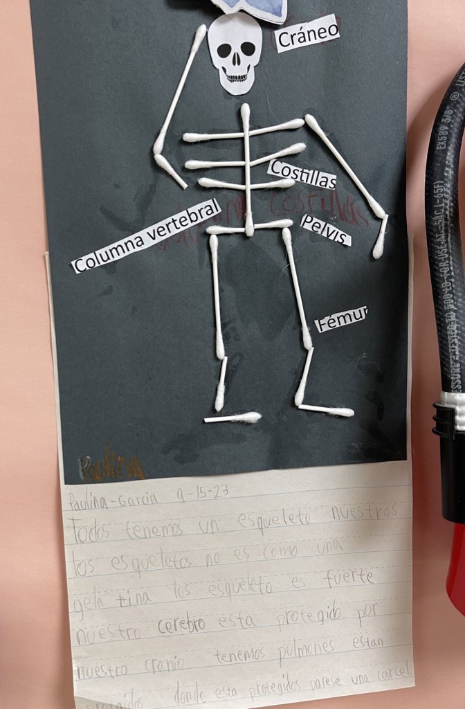 MarSilvaLearns's tweet photo. Another visit to @LuellaMerrett means seeing phenomenal student work from @Amplify! The 4th grade T I met with wanted to learn about supporting her newcomers, and look at the fab translanguaging on her S inventions! This #futurecorpse also loved the 1st grade skeletons &amp; writing. https://t.co/fjXOa5HKzw