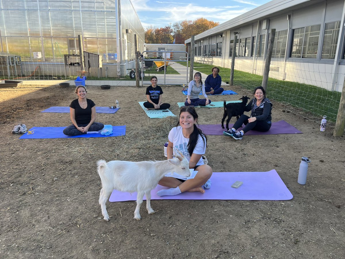 Karissa Kester tweet media