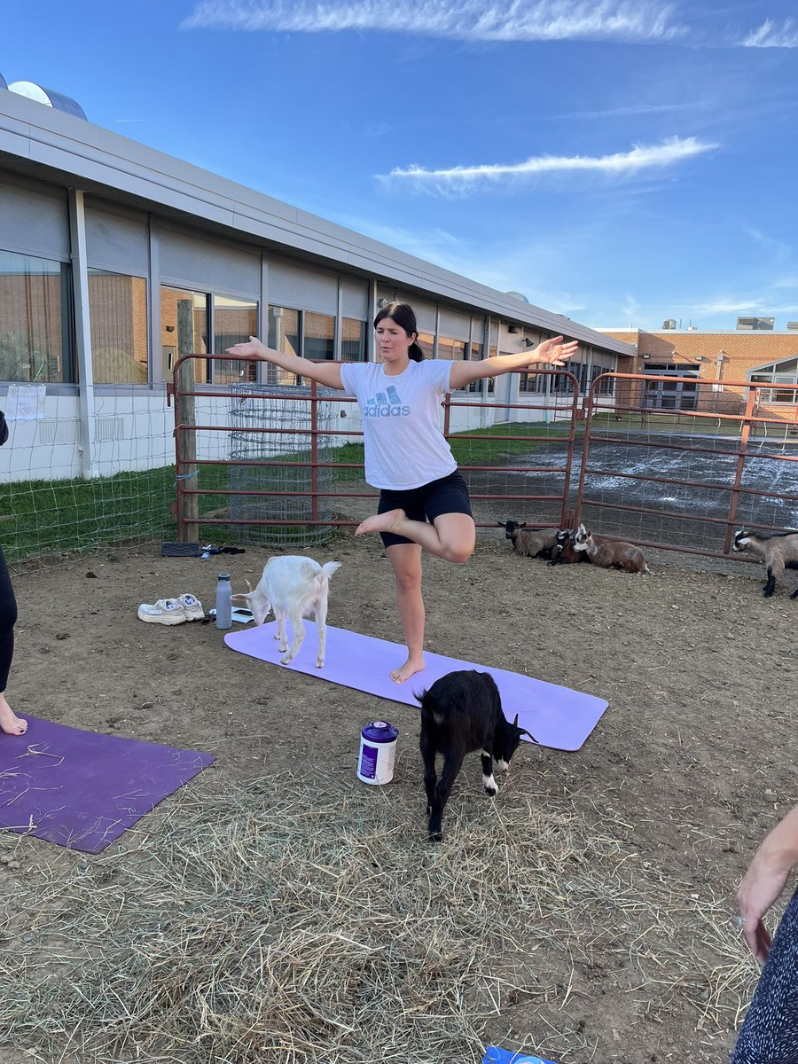 Karissa Kester tweet media