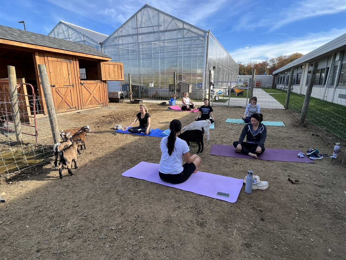 Karissa Kester tweet media