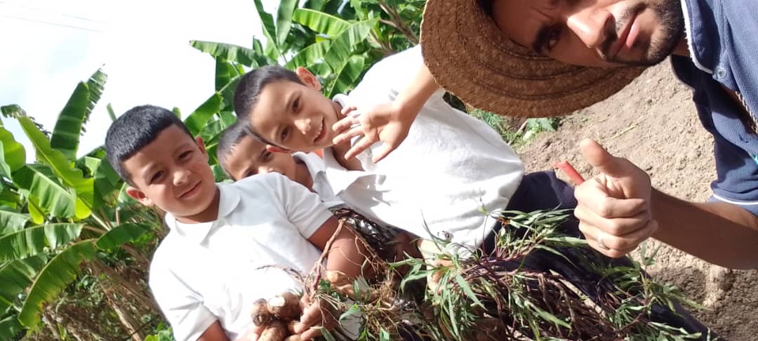 PtmsTrujillo's tweet photo. 25Oct. Desde Escuela Uslar Pietri
Parroquia las lomas y mosquey demostrando lo hermoso del conuco escolar Carlos Lanz cosecha seguida de siembra de batata rubro de importante poder vitamínico para los niños. PTMS avanza @_LaAvanzadora @cdcetrujillo @Gerardo4fPsuv @Twitera74 https://t.co/BFg0e5N8Np