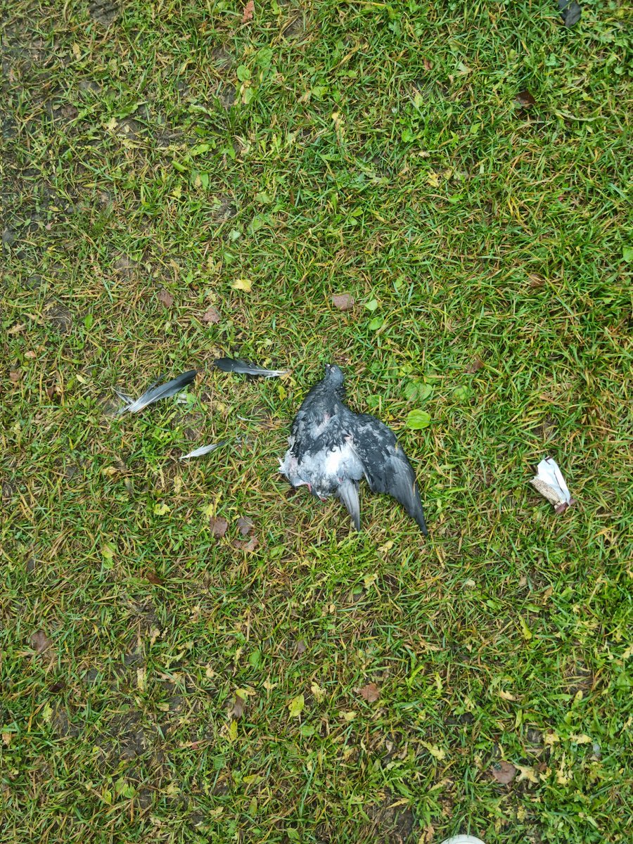 Москва момент
извините