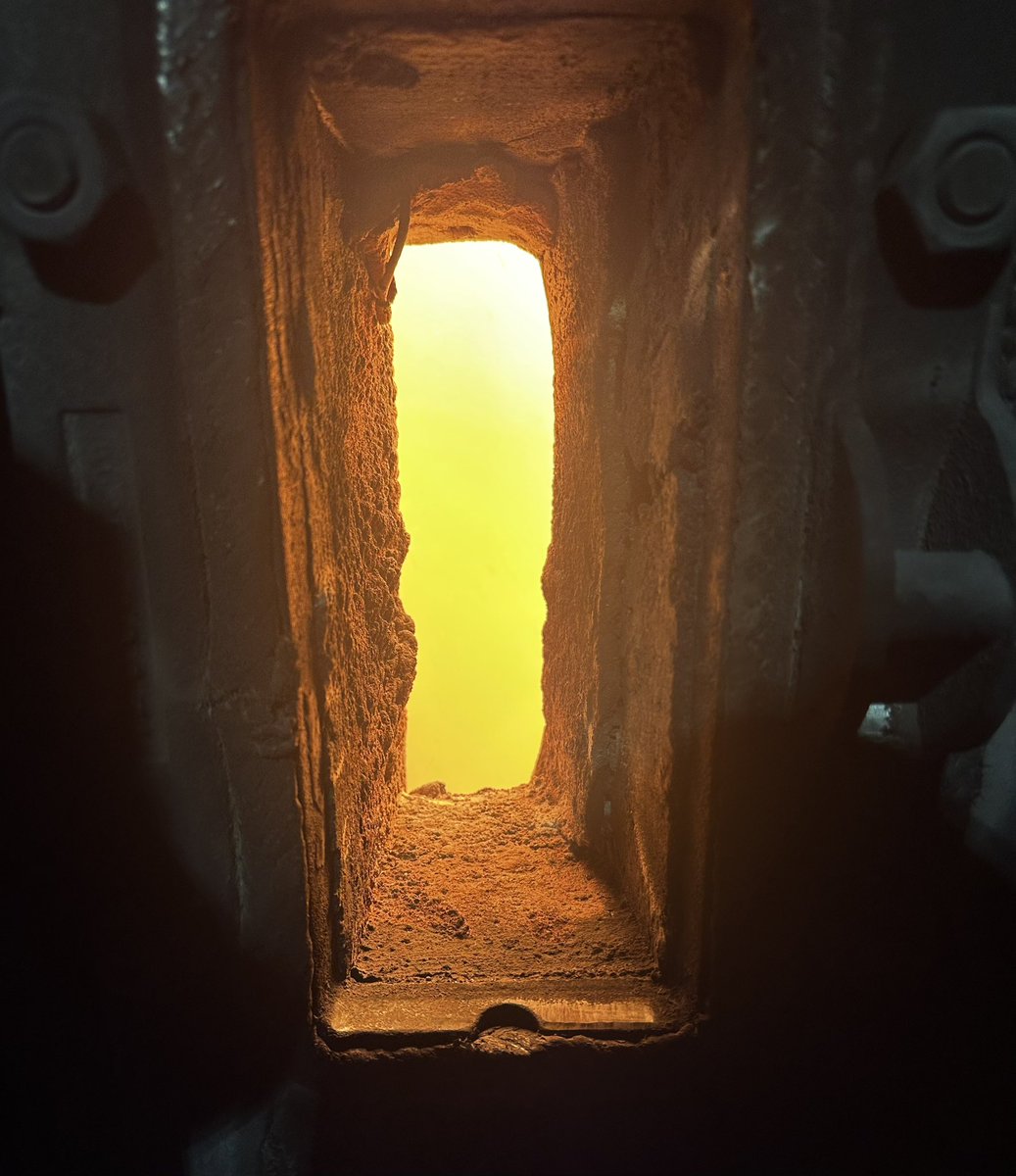 Will Payne tweet media