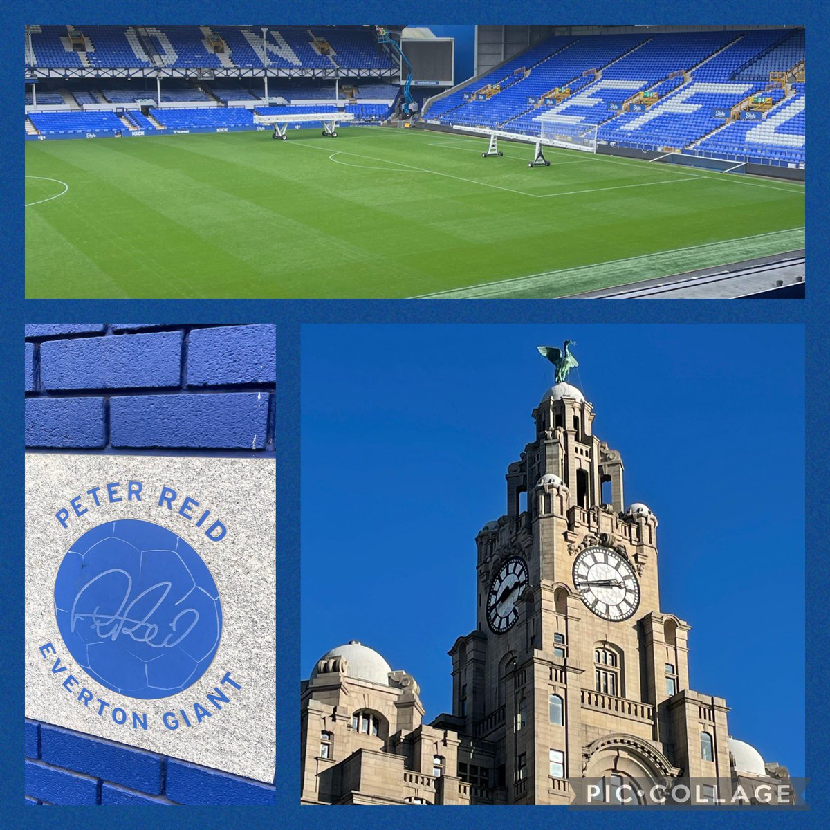 KHPAMrsO tweet media