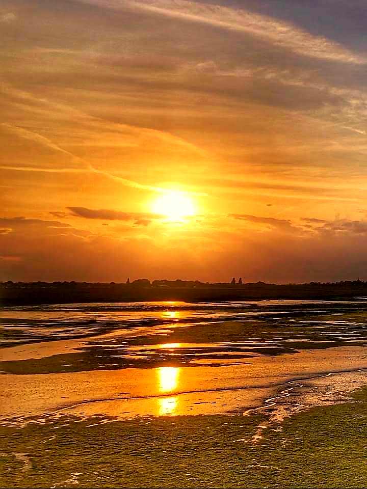 Battagliart's tweet photo. Loving these autumn sunsets at Barling Creek . . . so picturesque 😍 ( just along the road from my home at Stonebridge, Barling )
#sunsets #photography #Autumn #River #Essx https://t.co/6luo8Ty9Dd