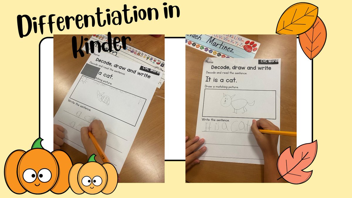 Lexi Ramirez tweet media