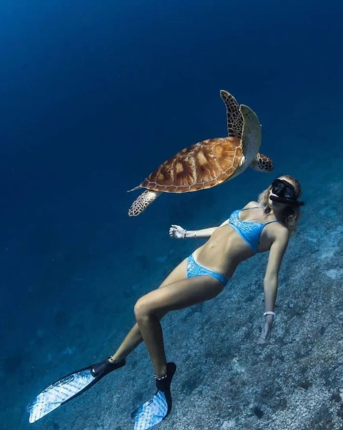 Why does this turtle look like it wants hug? 🤔

Tag someone who needs to see this💙

#scuba #scubadiving #scubadive #scubadiver #scubapro #scubalife #scubadiverslife #scubadivers #scubagirl #scubadiverlife #scubaphoto #Scubalove #scubajunkies