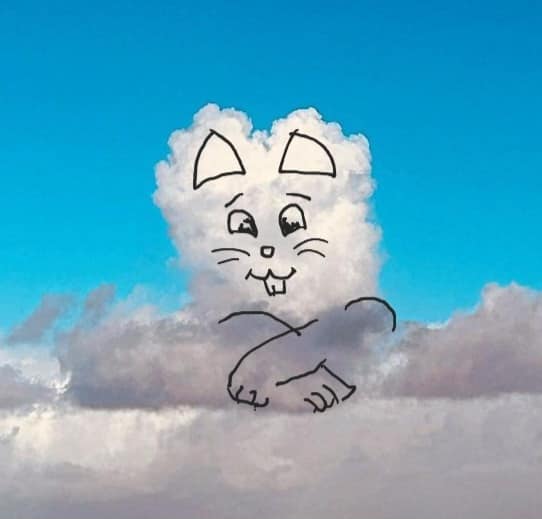 drewmcadam's tweet photo. I took a couple of photos, and used a stylus on the phone screen to produce these... for no other reason than I can, and I hope it raises a wee smile. https://t.co/7HH9IRVnFh