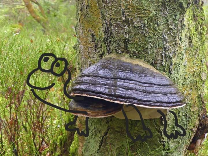 I took a couple of photos, and used a stylus on the phone screen to produce these... for no other reason than I can, and I hope it raises a wee smile.